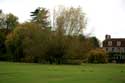 Tree close to church THAME / United Kingdom: 