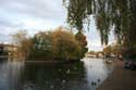 Thames Rivire WINDSOR / Angleterre: 