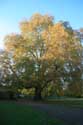 Magdalen College Oxford / United Kingdom: 