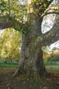 Magdalen College Oxford / Engeland: 