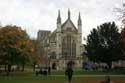 Cathedraal Heilige Drievuldigheid, Sint Petrus, Paulus en Sint Swithun Winchester / Engeland: 