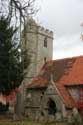 Sint-Petrus en Paulus Abdijkerk Dorchester / Engeland: 