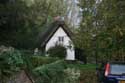 Tatched Cottage Dorchester / United Kingdom: 