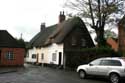House with thatched roof Dorchester / United Kingdom: 