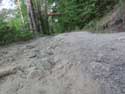 Road to Dancing Bears Refuge Belitsa / Bulgaria: 