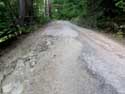 Road to Dancing Bears Refuge Belitsa / Bulgaria: 