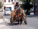 Chariot  cheval typique Batak / Bulgarie: 