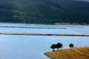 View on Lake Dospat / Bulgaria: 