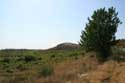 Wineyard Banya / Bulgaria: 