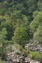 Valley Bachkovo in ASENOVGRAD / Bulgaria: 