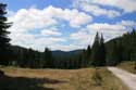 Landscape in Rhodope Mountains Batak / Bulgaria: 