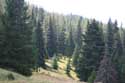 Landscape in Rhodope Mountains Batak / Bulgaria: 