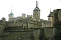 London Tower LONDON / United Kingdom: 