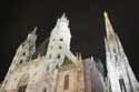 Stephan's Cathedral (Stephansdom) VIENNA / Austria: 