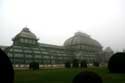 Palms' house (Palmenhaus) VIENNA / Austria: 