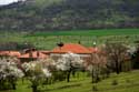 Spring view Izvorishte / Bulgaria: 