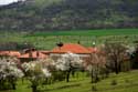 Uitzicht in de lente Izvorishte / Bulgarije: 