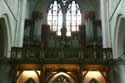 Saint Catherina's cathedral Utrecht / Netherlands: 