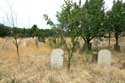 Graveyard Bryastovets / Bulgaria: 
