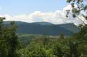 Green Mountain Landscape Veselinovoa in Veselinovo / Bulgaria: 