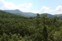 Green Mountain Landscape Veselinovoa in Veselinovo / Bulgaria: 