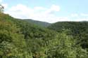 Green Mountain Landscape Veselinovoa in Veselinovo / Bulgaria: 