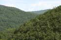 Groen Berglandschap Veselinovo / Bulgarije: 