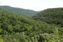 Green Mountain Landscape Veselinovoa in Veselinovo / Bulgaria: 