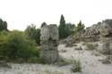 Stoned Forest (Pobiti Kamani) Varna / Bulgaria: 