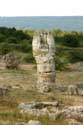 Stoned Forest (Pobiti Kamani) Varna / Bulgaria: 