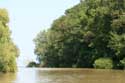 Kamchia River close to Mouth Bliznatzi / Bulgaria: 