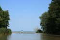 Kamchia River close to Mouth Bliznatzi / Bulgaria: 