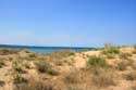Vue sur Dunes et Mer Noire Dyuny / Bulgarie: 