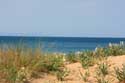 View on Dunes and Black Sea Dyuny / Bulgaria: 