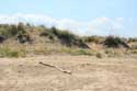 Ropotami Dunes Dyuny / Bulgaria: 