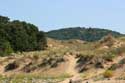 Ropotami Dunes Dyuny / Bulgaria: 