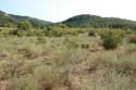 Ropotami Dunes Dyuny / Bulgaria: 