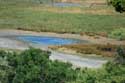 Ropotami Swamp Dyuny / Bulgaria: 