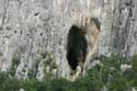 Entry of Cave Zgorigrad in VRATZA / Bulgaria: 