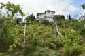 My small Wineyard Izvorishte / Bulgaria: 