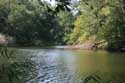 Ropotami River Primorsko / Bulgaria: 