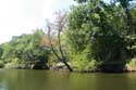 Ropotami River Primorsko / Bulgaria: 