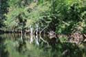 Ropotami River Primorsko / Bulgaria: 