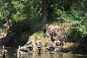 Ropotami River Primorsko / Bulgaria: 