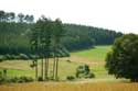 Paysage Petite Suisse Mullerthal / Luxembourg: 