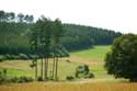 Landscape Small Switzerland Mullerthal / Luxembourg: 