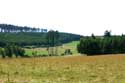 Paysage Petite Suisse Mullerthal / Luxembourg: 