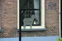 Maison de A.Otten Giethoorn  Steenwijkerland / Pays Bas: 