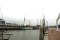 Pelikaan Briltil N Ship Harlingen / Netherlands: 