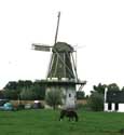 Eureka Molen Klein Wetsinge in Winsum / Nederland: 